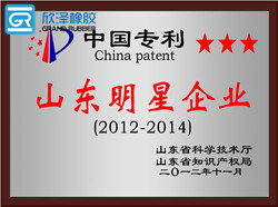 山東明星企業證書