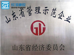 山東省管理示範企業