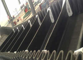 800寬大傾角輸送帶