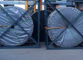 耐酸堿尼龍輸送帶