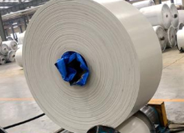 食品級白色皮帶