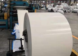 耐酸堿白色皮帶