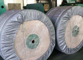 1100寬尼龍輸送帶